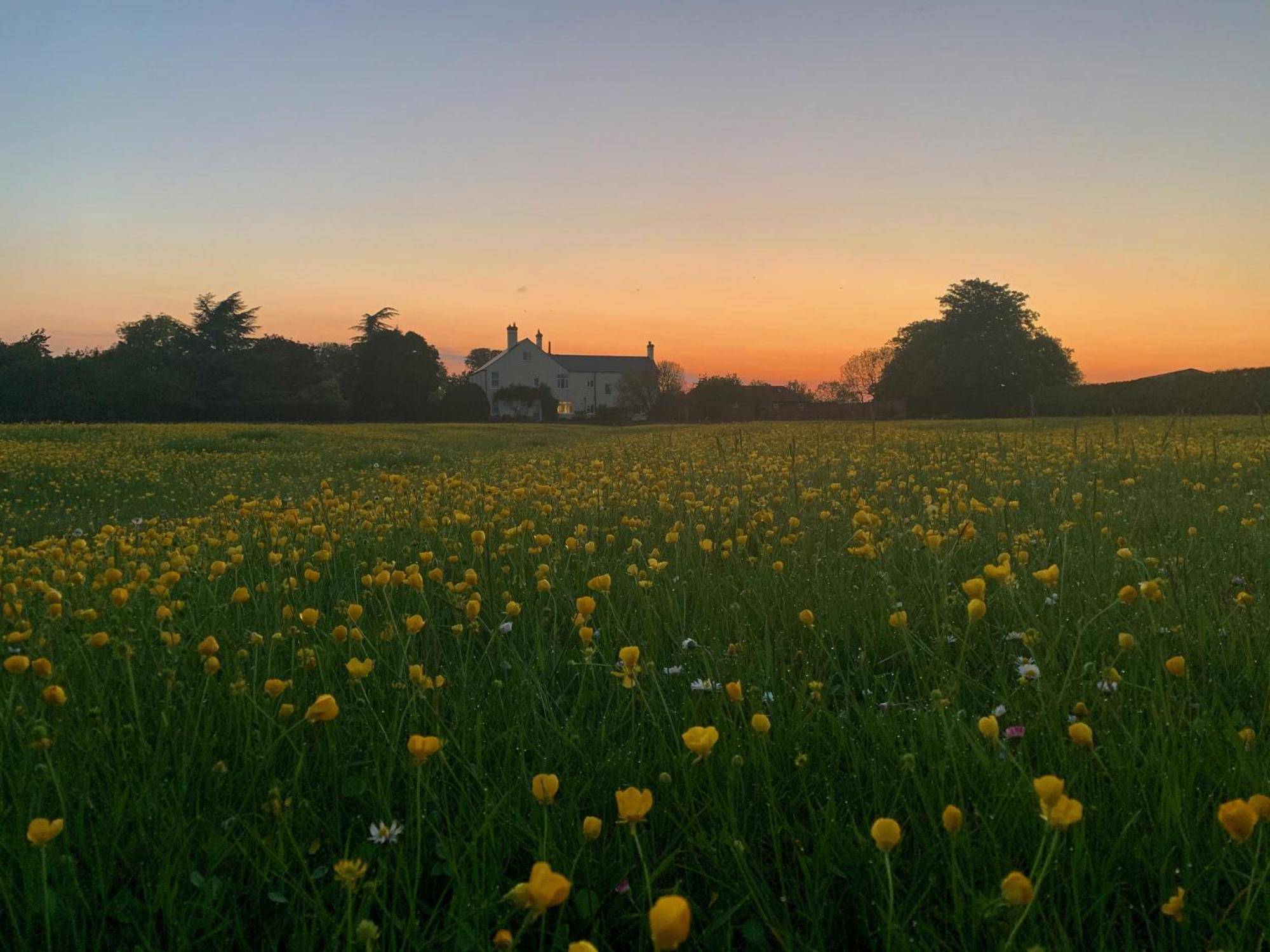 Kilvington The Chestnuts Country House Boutique B&B מראה חיצוני תמונה